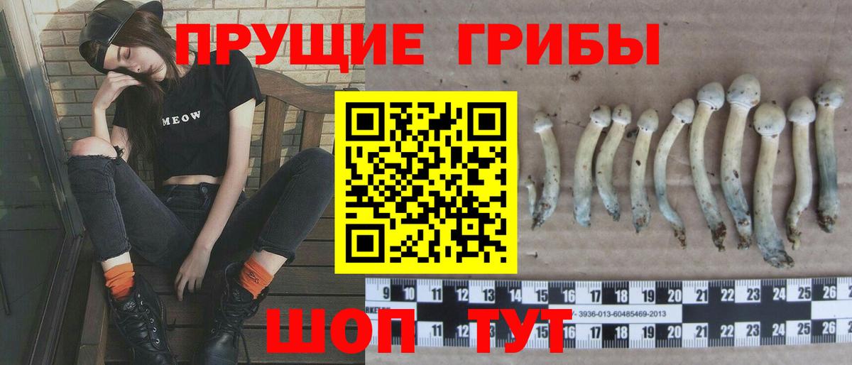 Псилоцибиновые грибы ЛСД Донской