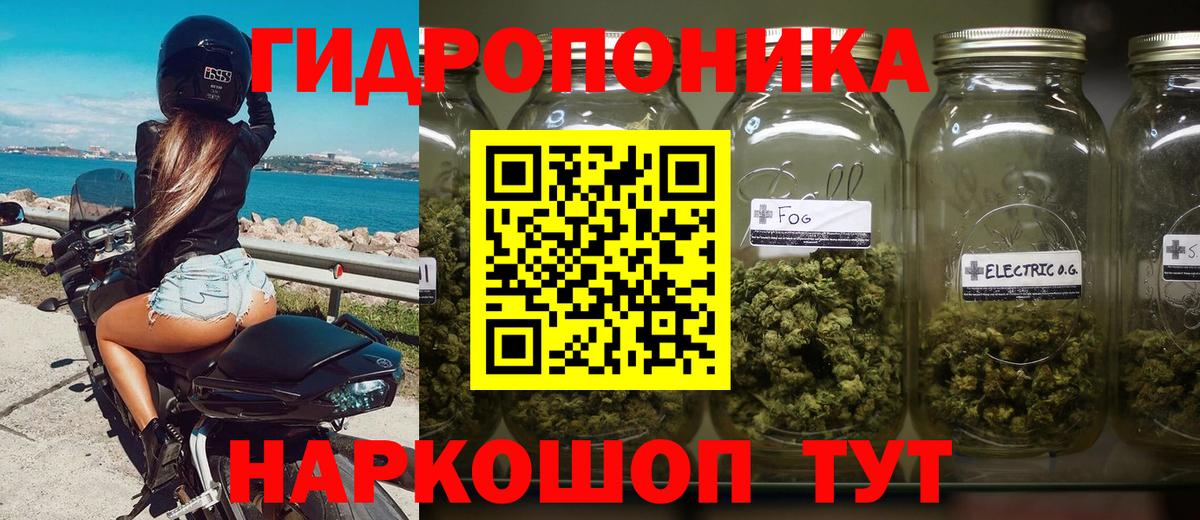 Марихуана семена Донской